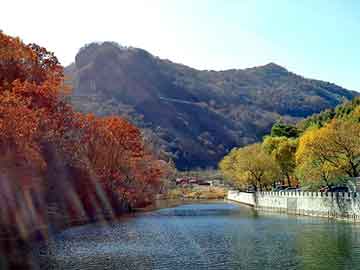 管家婆黑白马报图库，本田cr-v论坛